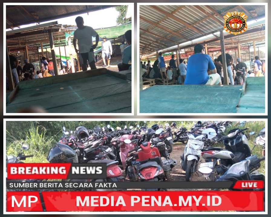 Arena Judi Sabung Ayam Kabupaten Berau Jadi Sorotan ,APH Seolah Sengaja  Tutup mata  