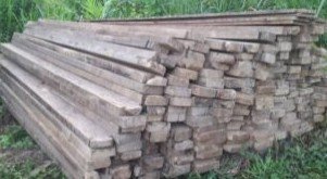 Di Duga Marak Ilegal Logging Di Padang Lawas