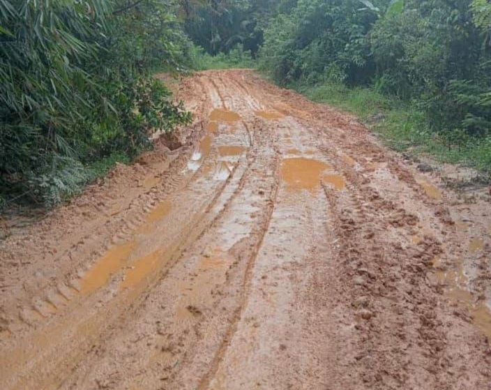 Warga desa Lawonua kabupaten Konawe keluhkan kerusakan jalan yang parah, harapkan perhatian pemerintah