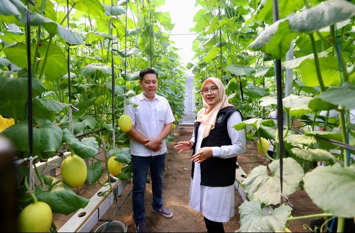 Program Bupati Ipuk Regenerasi Petani Berhasil, Kini Banyak Anak Muda Banyuwangi Berkreasi di Pertanian